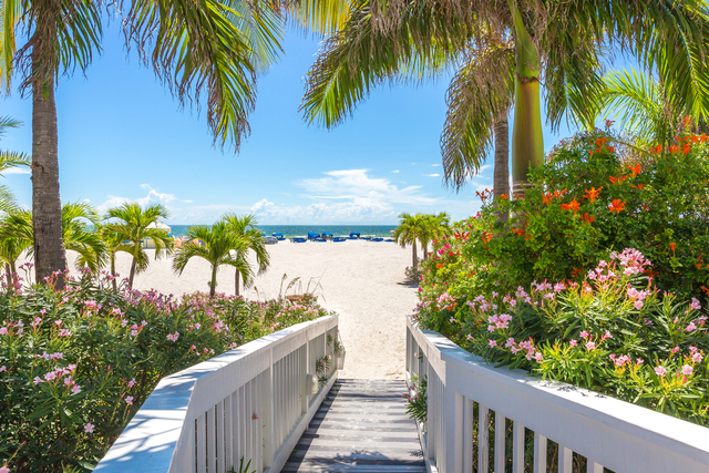 Top 10 things to do & see in St. Petersburg, Fl